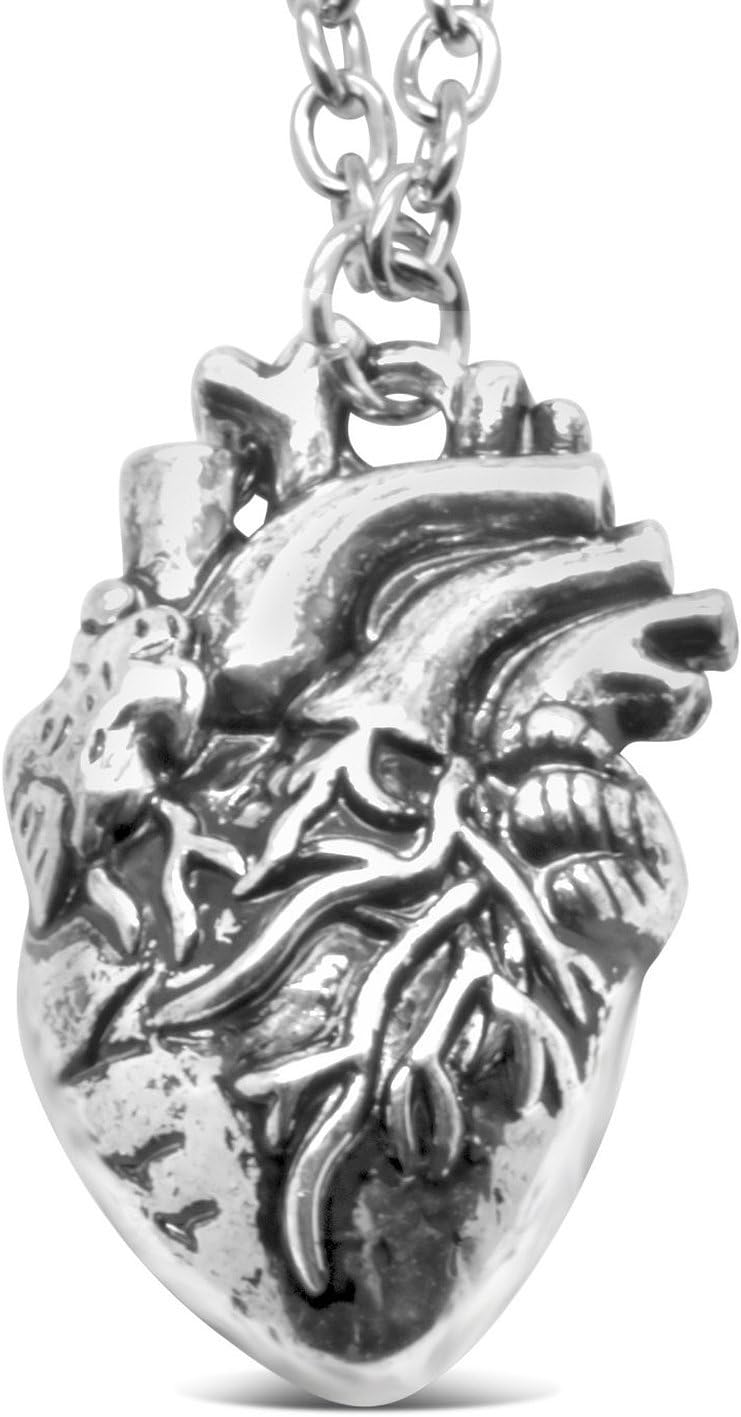 Serebra Jewelry Anatomical Heart Pendant with Necklace | Made Alloy for Nurses, Doctors, Students, GF's, Nerds and Many…