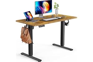 ErGear Electric Standing Desk Adjustable Height, 48 x 24 Inches Sit Stand Up Desk with 3 Memory Presets, Home Office Desk, for Home Office