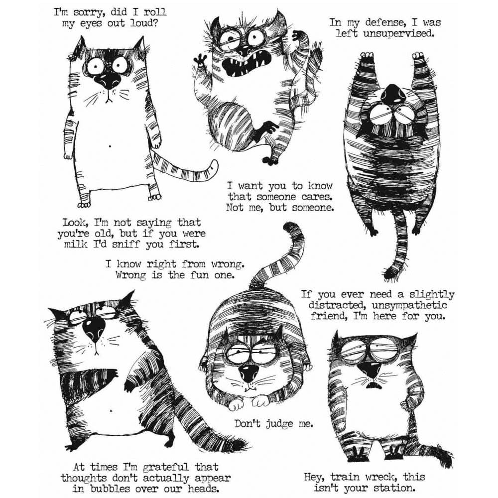 Cling RBBR Stamp Set Snarky CAT