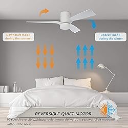 SMAAIR 52 Inch Smart Ceiling Fan with Lights and