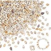 PH PandaHall 540pcs Natural Spiral Sea Shell Beads, 10~15mm Ocean Beach Seashell Beads Drilled Mini Shells Small Shells for Craft DIY Jewelry Making Wedding Home Party Decor Fish Tank Vase Filler