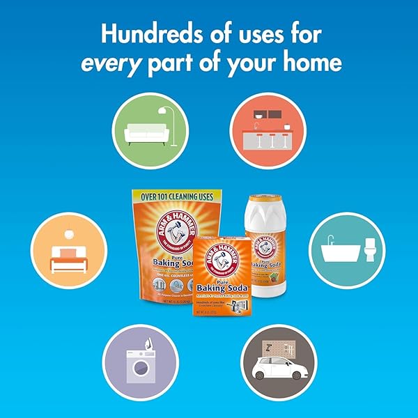 ARM & HAMMER 01110 1 LB ARM & HAMMER BAKING SODA