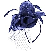 Song Qing Fascinators Hats for Womens Tea Party Derby Hat Feather Mesh Veil Headwear Hair Clip Cocktail Bridal Wedding