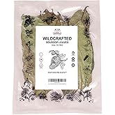 club mexicano Pure Graviola - Whole Soursop Leaves For Tea Hoja Guanabana 21g