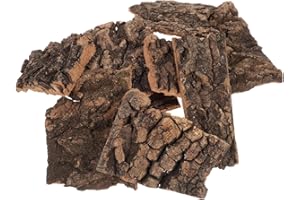 Homoyoyo 10Pcs Reptile Cork Bark Decor Natural Climbing and Hiding Habitat Background for Lizards Turtles Chameleons Terrarium Accessories