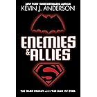 Enemies & Allies: A Novel