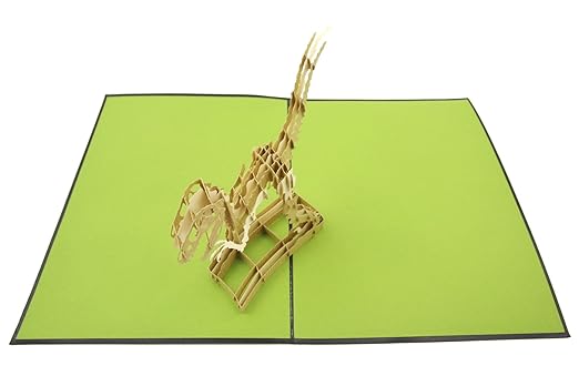 Chasseur De Fossiles Remise Des Diplomes Toutes Les Occasions Fete Des Peres Poplife Cards T Rex Velociraptor Dinosaure Fete Des Peres Popup Carte Retraite Felicitations Joyeux Anniversaire Cartes Postales Cartes Et Papier Cartonne