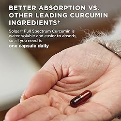 Solgar Full Spectrum Curcumin - 90 LiCaps