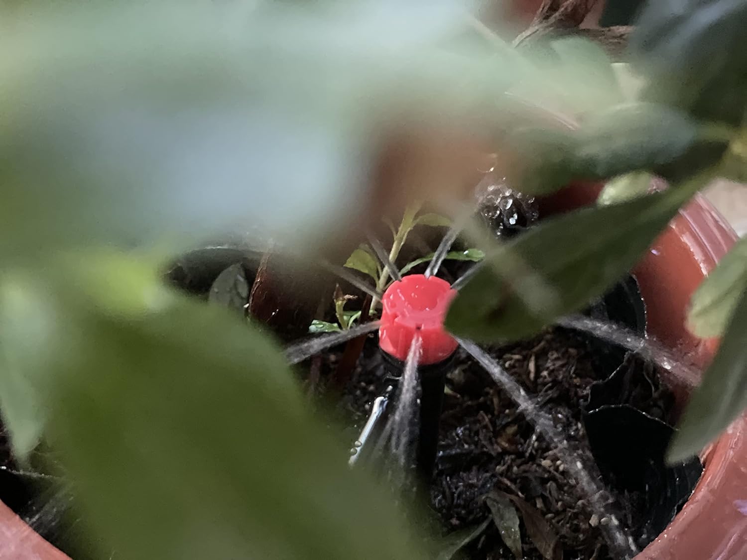 La Farah 50pcs Drip Emitters for 1/4" Drip Irrigation Tubing, Adjustable 360 Degree Water Flow Drippers on 5" Arrow Stake, Garden Irrigation Drippers for (4-7mm) Watering System : Garden & Outdoor