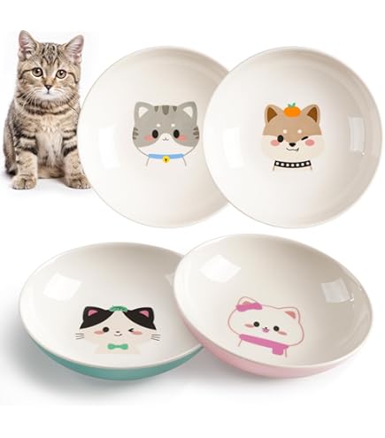 5 Pièces Set Bols à Riz Céramique Maneki Neko - Vaisselle Japonaise Cartoon Anti-brûlure