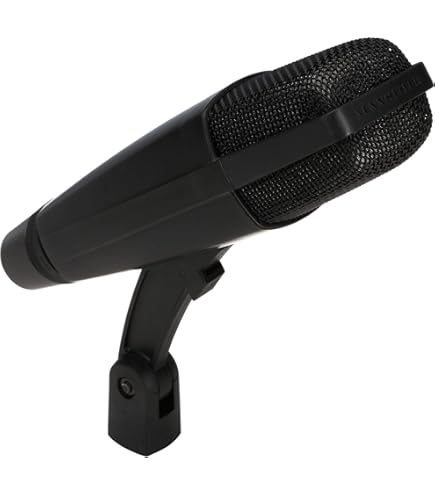 Amazon.com: AKG D112 MkII Professional Bass Drum Microphone