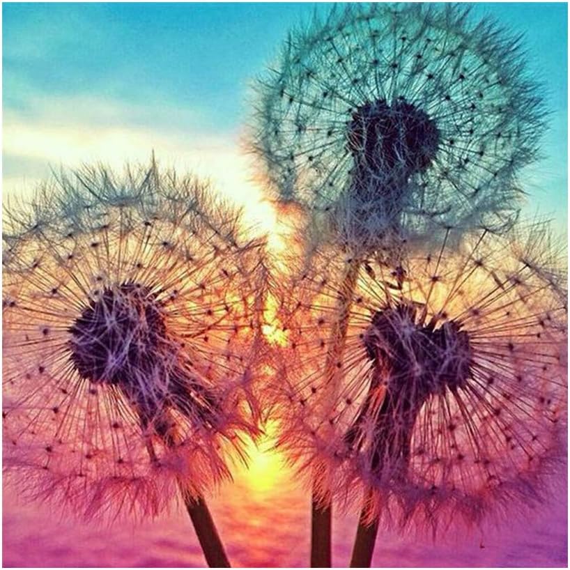 sayner DIY Handmade Drill Painting Kit - Dandelion,Full Drill Crystal Embroidery Arts Craft Canvas Wall Decor