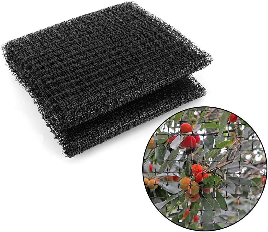 supporto per alberi per uccelli