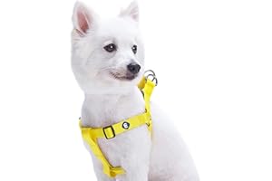 Blueberry Pet Essentials Matching Medium Nylon No Pull Dog Harness | Adjustable Classic Easy Walk Harness for Medium & Step in Dogs - Blazing Yellow