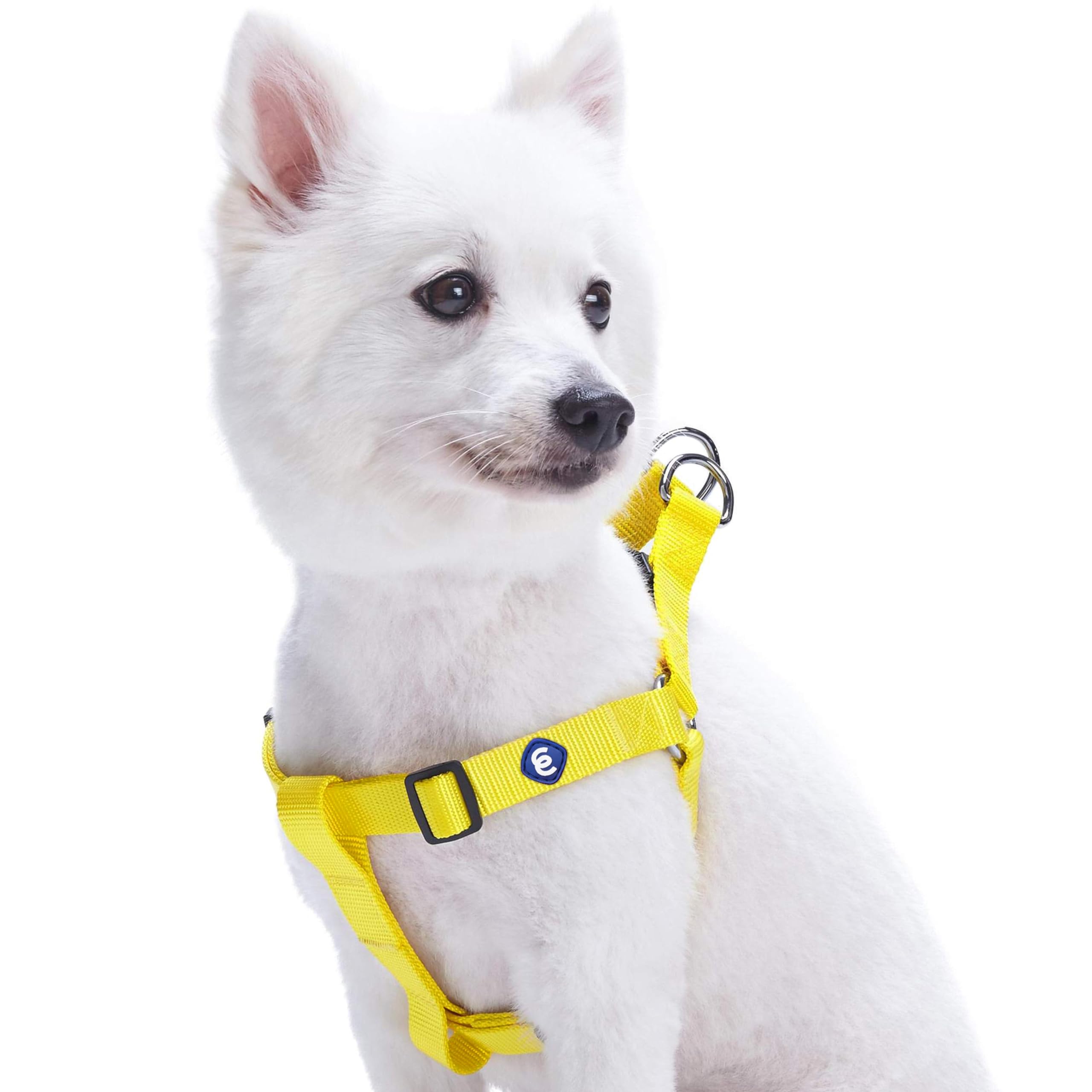 Blueberry Pet Classic Solid Adjustable Dog Harness, Matching Collar and Lead Available Separately