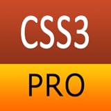CSS3 Pro Quick Guide