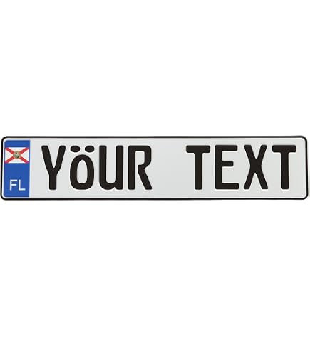 Amazon.com: Z Plates Compatible with VW Wolfsburg Red Export