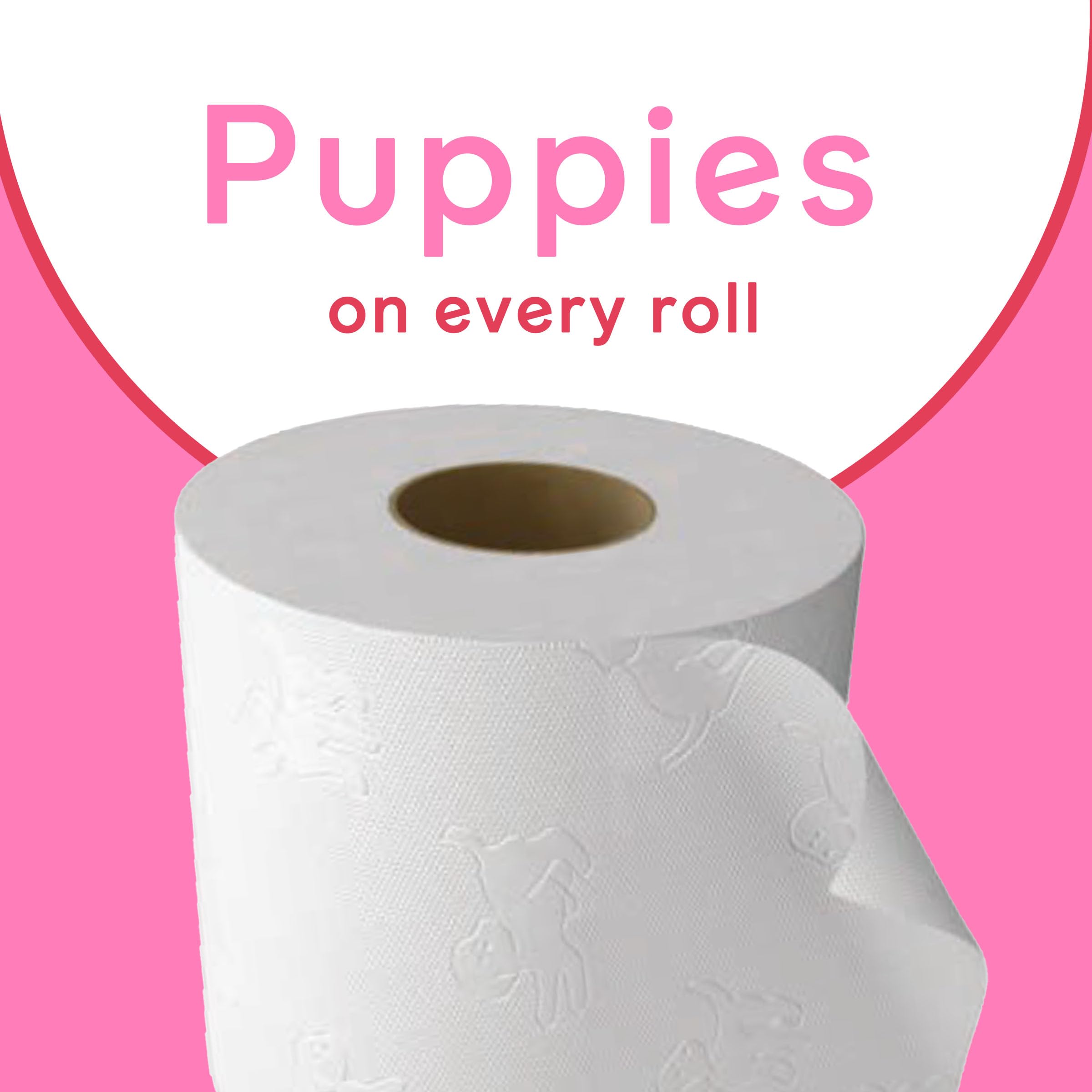 Andrex Family Soft Toilet Tissue 72 Rolls (Previously Andrex Gentle Clean) Gentle on your Family’s skin– Bulk Pack of 72 Toilet Rolls, FSC Certified