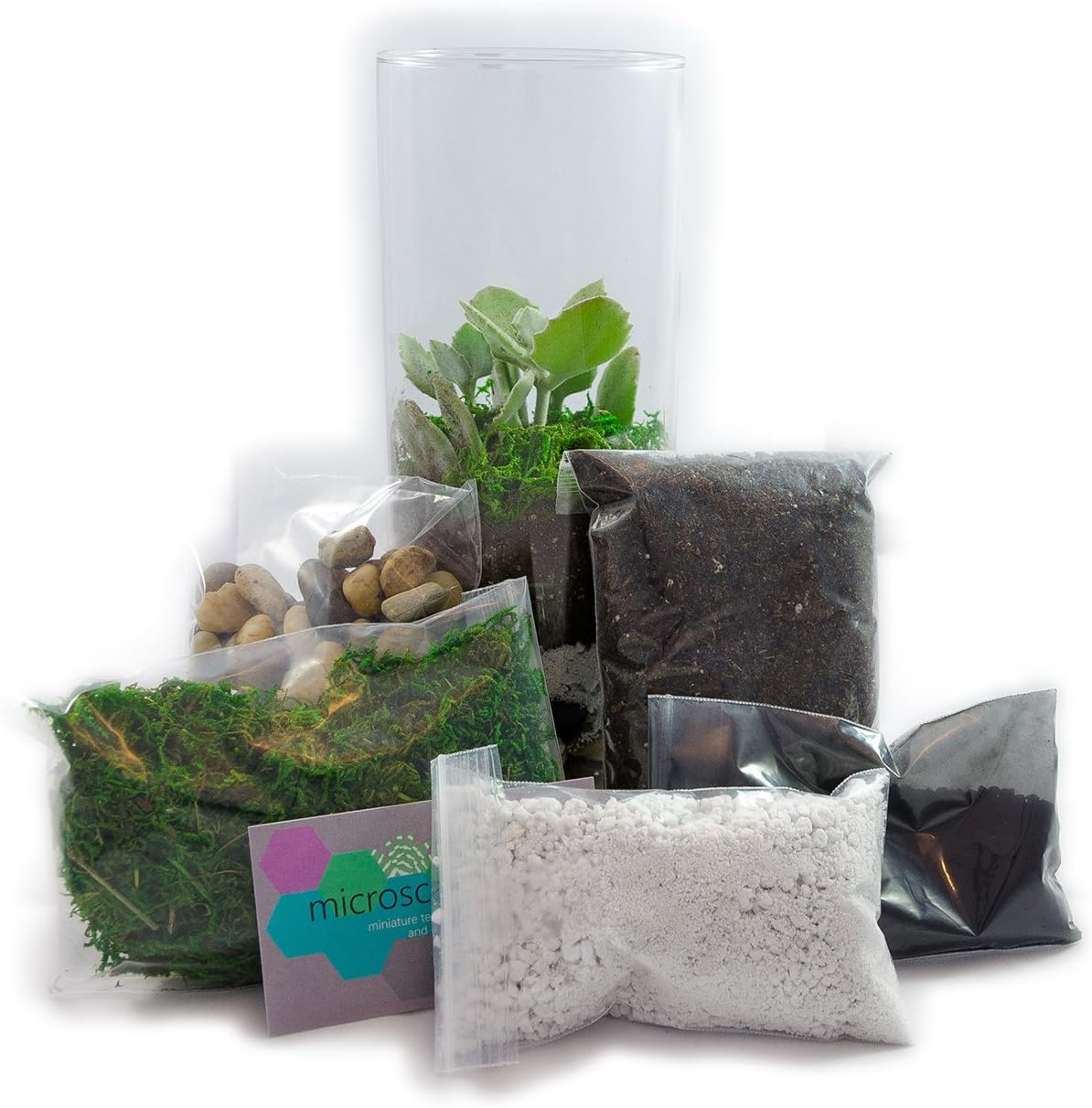Cylinder / Cylindrical Glass Vase Terrarium Kit by Microscape Terrariums (9 in. x 3.25 in.)
