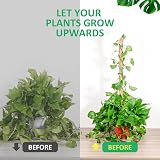 YAUNGEL Moss Poles 2Pcs 80CM Coir Totem Poles with 20M Twist Ties Indoor view 4