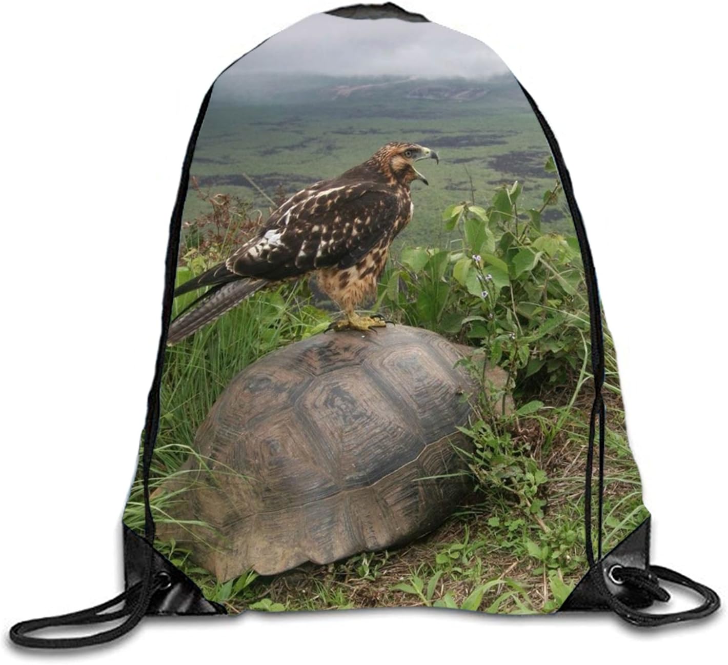 hawk gym bag