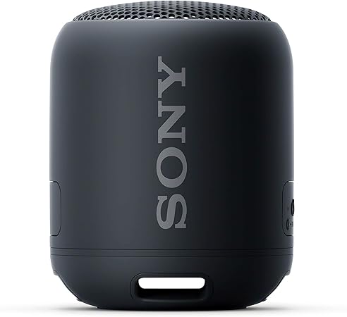 sony biggest bluetooth speaker