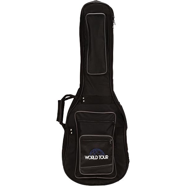 Amazon.com: World Tour Pro Double Bass Guitar Gig Bag : Musical