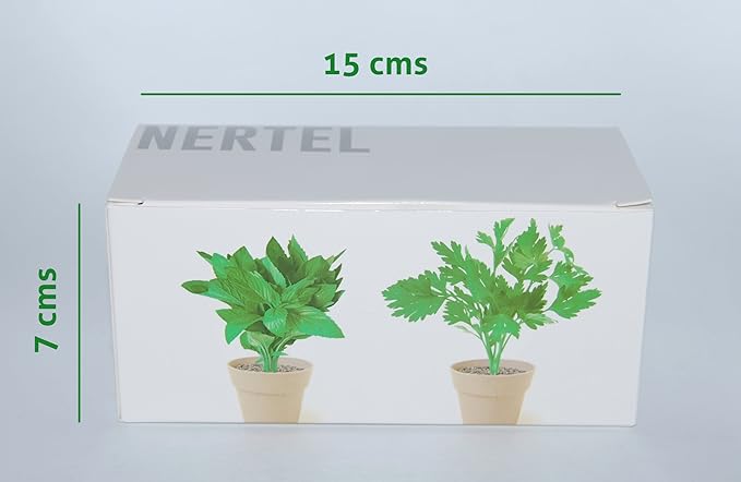 Kit de 2 mini macetas biodegradables de Perejil y Menta para ...