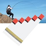 Lanfly Fishing Floats 20Pcs 5 Sizes Coarse Transparent Waggler Kit view 4