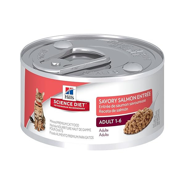 HILL’S SCIENCE DIET ADULT SAVORY SALMON ENTRÉE CANNED CAT FOOD, 3 OZ, 24-PACK