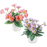 TerraVerve 2-Piece Artificial Mums Set & Silk Flowers| Fake Flowers Indoor Planters for Living Room, Bedroom, Bathroom & Office Decor | Boho Style Artificial Plants & Flowers Decor