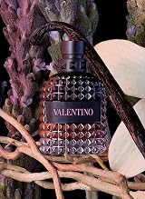 Valentino Uomo Born In Roma Intense Edp 100 ml Vapour Spray view 2