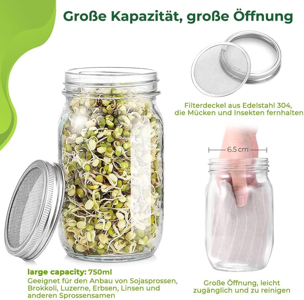 ecooe Sprossen SJFC01-N Germination Glass Set of 1 Germination Glasses for Sprouting Jar with 1 Water Bowl 1 Filter Mesh Cover Made of 304 Stainless Steel and 1 Stand