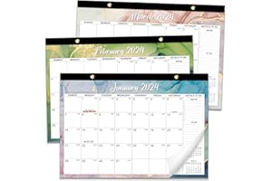 JEJEGO Desk Calendar 2024-2025, 18 Months Desktop Calendar from Jan 2024-Jun 2025, 17"×12" Large Desk/Wall Calendar with Clear Waterproof Cover, Large Ruled Blocks & Notes for Office Home School- Watercolor
