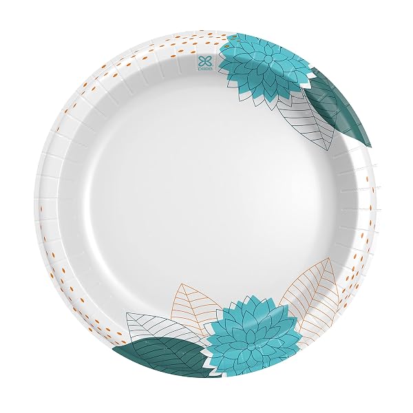 DIXIE PAPER PLATES, 10 1/16 INCH, DINNER SIZE PRINTED DISPOSABLE PLATE, 150 COUNT (1 PACK OF 150 PLATES)