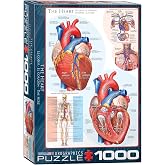 EuroGraphics Human Body (The Heart) Puzzle (1000-Piece) , Blue