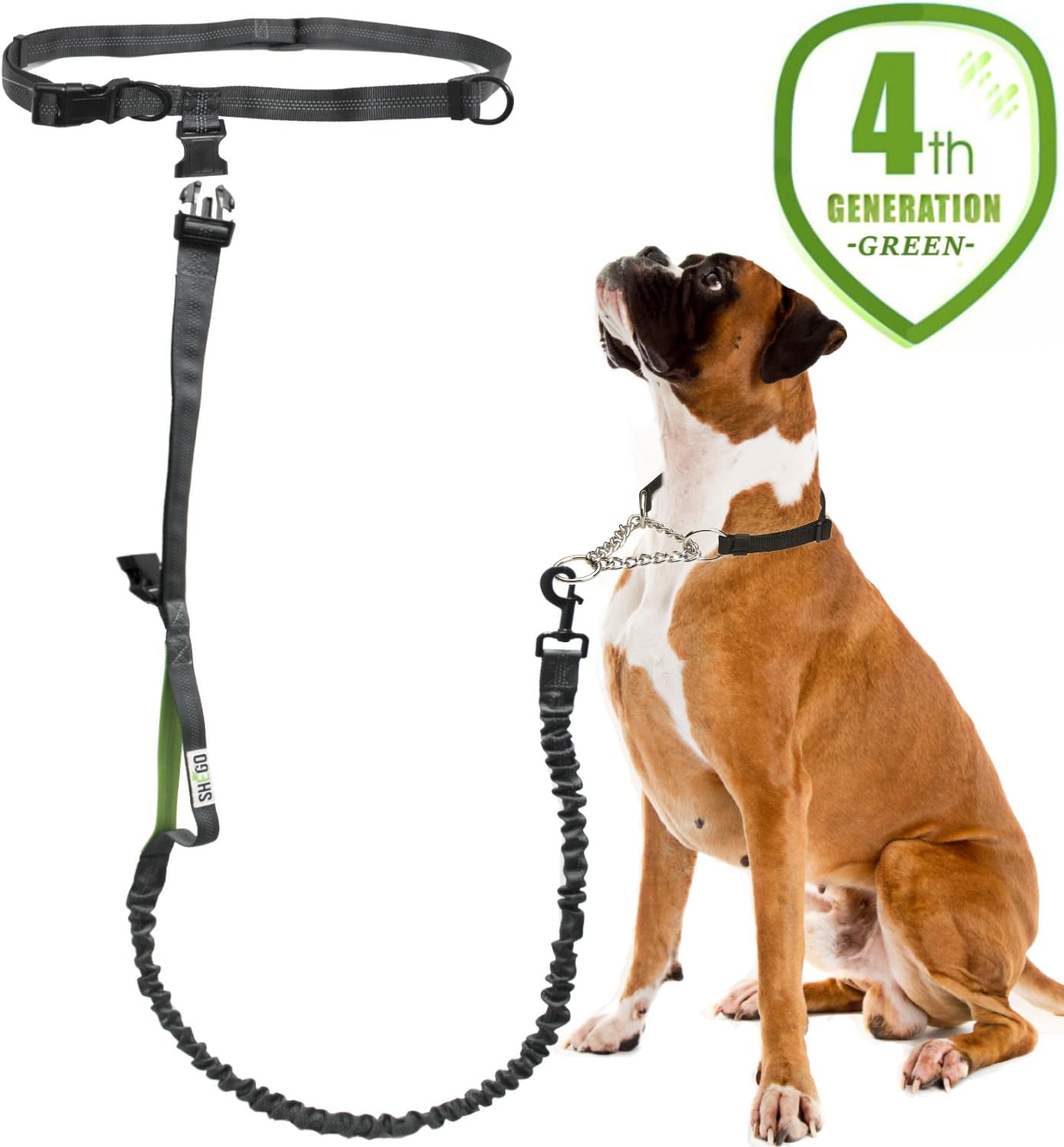SHEGO Basic Leash and Retractable Hands Free Dog Leash for