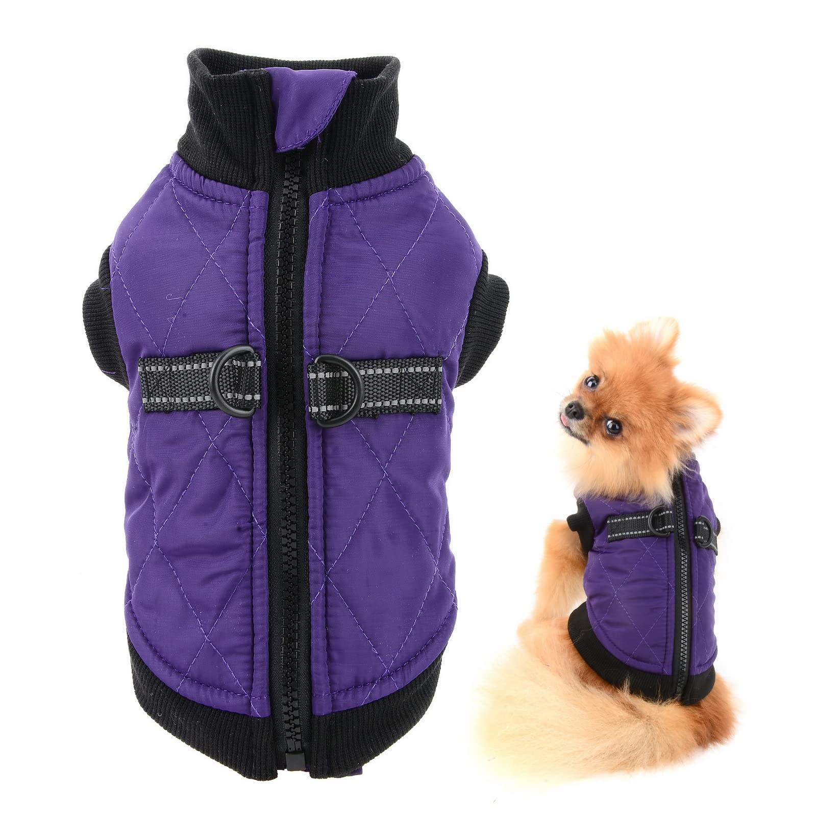 SMALLLEE_LUCKY_STORE Pet Water Resistance Zip-up Jacket Vest Coat with D-rings for Small Dogs Cats, Fleece Lined Puppy Chihuahua Yorkie Warm Winter Clothes, Purple, M