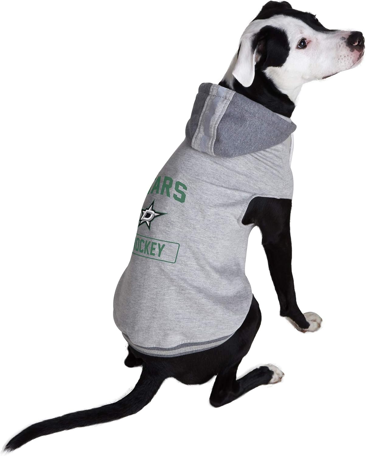 dallas stars dog jersey