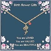 Nupdot Birth Flower Necklaces Birthday Gifts for Women | 14K Gold Plated Birth Month Floral Birthstone Pendant Necklaces Wildflower Flowered Jewelry Gifts for Mom Friends