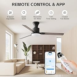 Obabala 60" Ceiling Fan with Remote, LED
