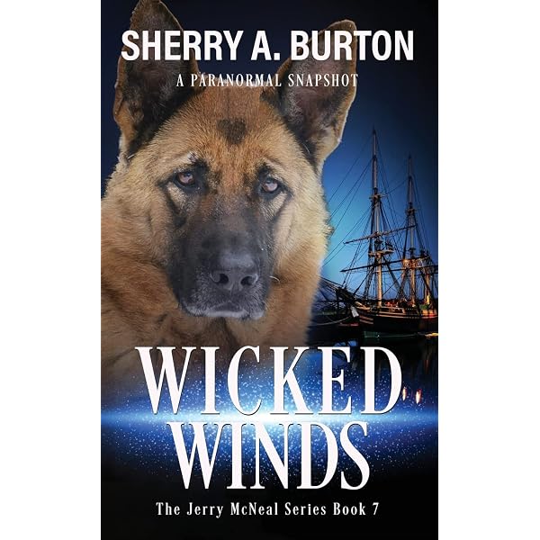 Amazon.com: Uncanny Coincidence: Book 9 in the Jerry McNeal series