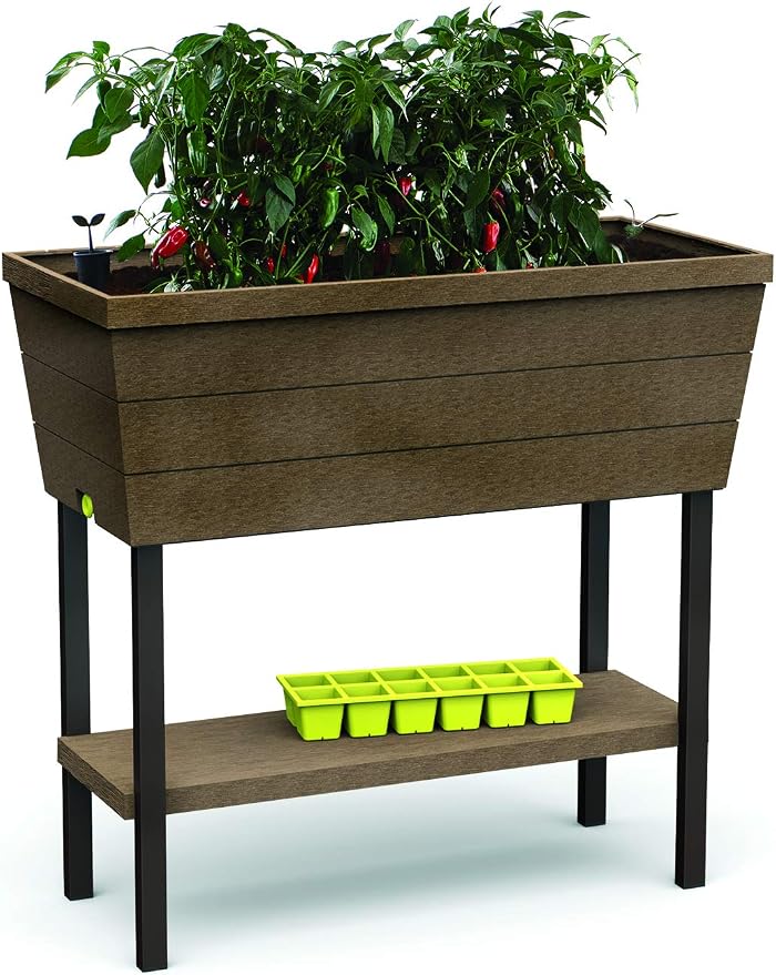 Keter - Mini huerto en casa Urban Bloomer con base para cultivo ...