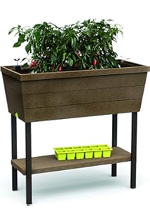 MERCANATURA Mini HUERTO Urbano: Amazon.es: Jardín