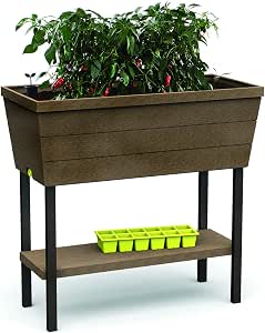 Keter - Mini huerto en casa Urban Bloomer con base para cultivo ...