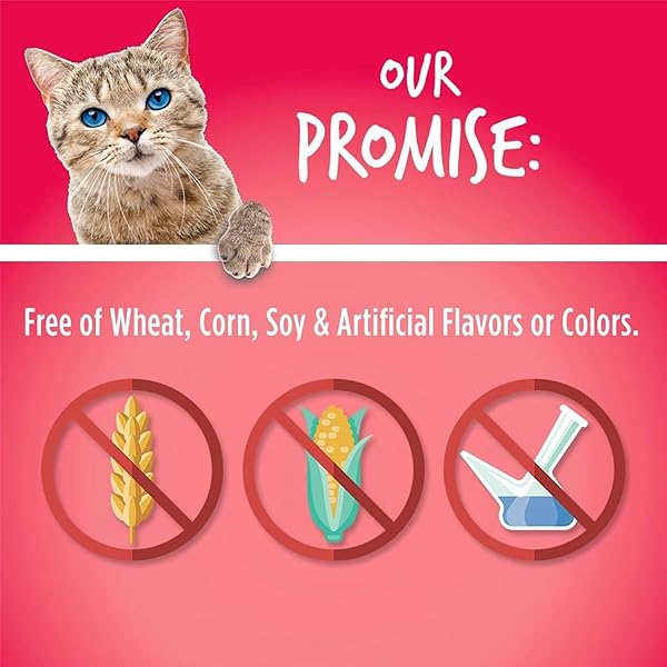 FRUITABLES CAT TREATS, HEALTHY TREATS FOR CATS, LOW CALORIE AND PACKED WITH PROTEIN, CRUNCHY BISCUITS, NO WHEAT, CORN OR SOY, MADE WITH REAL SALMON AND CRANBERRY, 2.5OZ