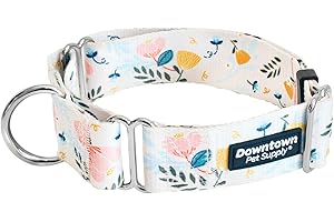 Downtown Pet Supply - Martingale Collar for Dogs - Dog Training Collar - Big, Wide & Thick Dog Collar - Escape-Proof, Weatherproof, Durable and Comfortable - Floral - Medium Dog Collar