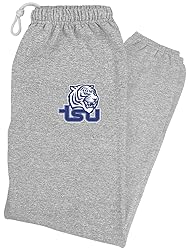LOGOVISION Tennessee State University Primary Logo
