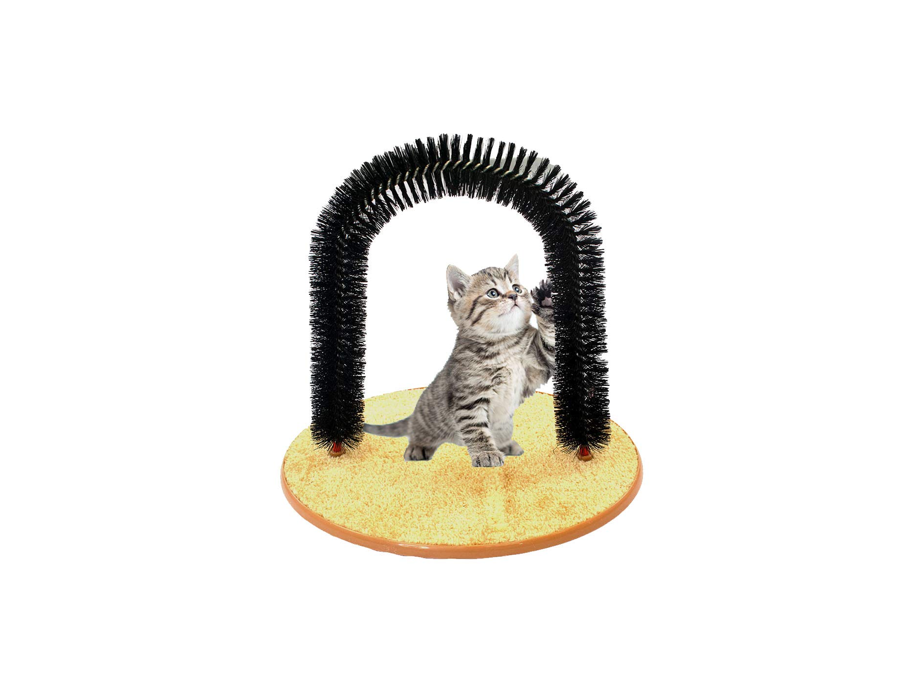 Modo Purrfect ARCH Cat Self Shedding Groomer Kitty Massager Pet Scratcher Toy/Cat arch