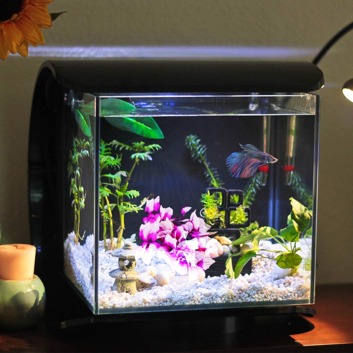 View 9